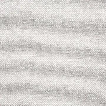 Pebble